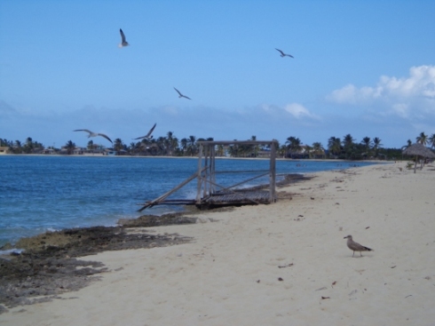 Playa Los Cocos en Santa Lucía; Camagüey